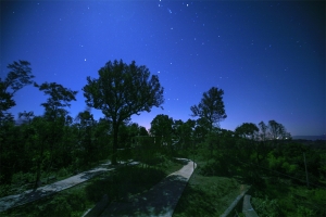 御龙阁福鼎白茶生态农庄夜景